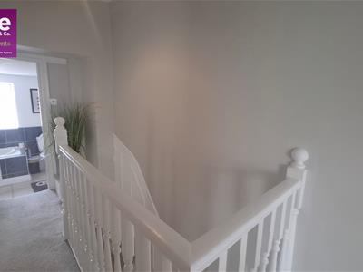 Picture 27